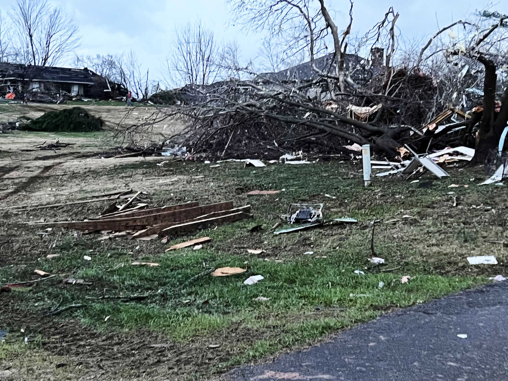 Large tree down